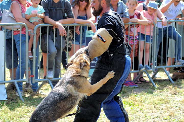 Dingo Gear Schutzarm Extern Mini Soft aus Jute Bissmanschette Hundeausbildung Hundetraining Bisstrai
