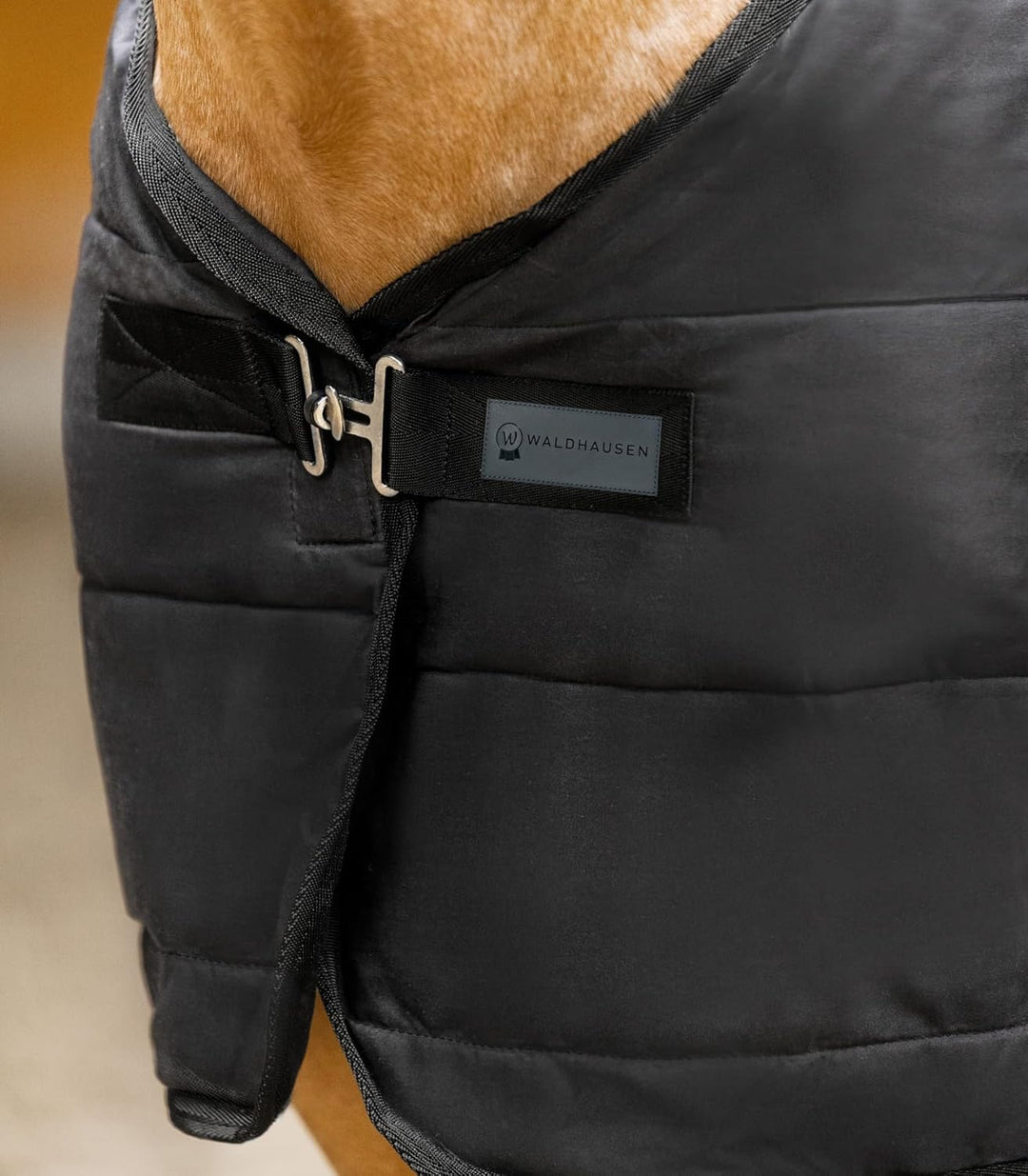 WALDHAUSEN Economic Thermo Unterdecke, 100 g Schwarz 165 cm, Schwarz 165 cm