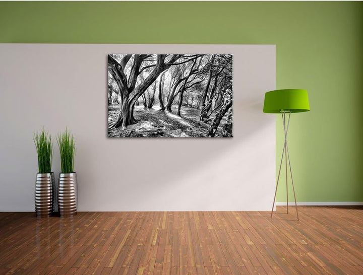 Monocrome, Wald, Format: 100x70 auf Leinwand, XXL riesige Bilder fertig gerahmt mit Keilrahmen, Kuns