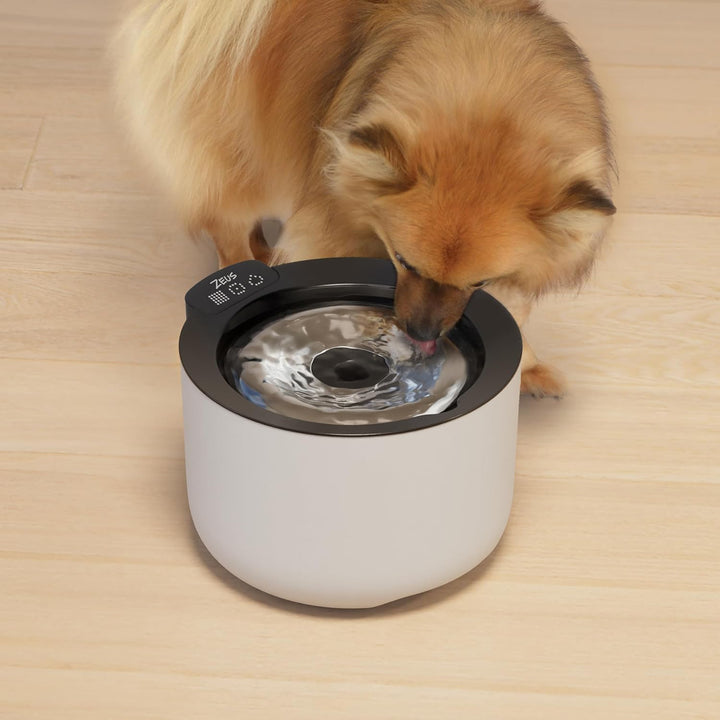 Zeus Oasis Plus Smart Fountain, 3l