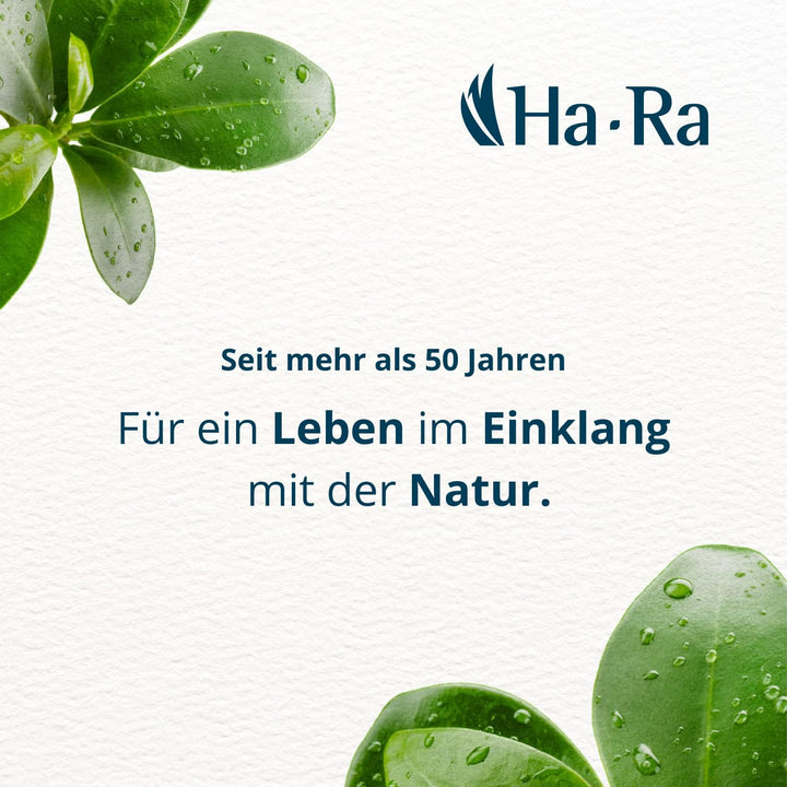 Ha-Ra Bodenwischtuch Mach 6 I langlebiger Boden-Wischer zur Reinigung für Böden &amp; Wände I Bezug für