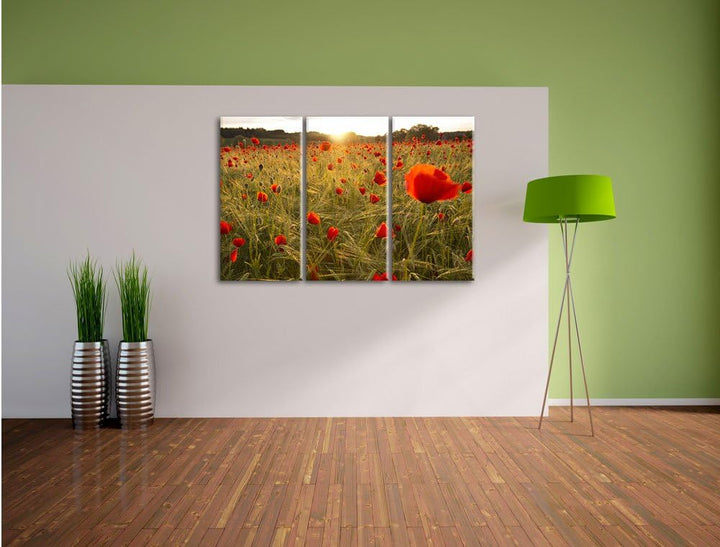Pixxprint Mohnfeld bei Sonnenuntergang als Leinwandbild/Grösse: 3 Teilig (120x80) cm/Wandbild/Kunstd