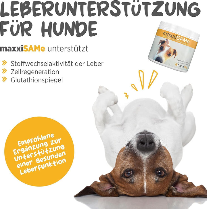 maxxipaws - maxxiSAMe SAM-e Ergänzungsfutter für Hunde -Unterstützung der Leberfunktion &amp; Kognitiver