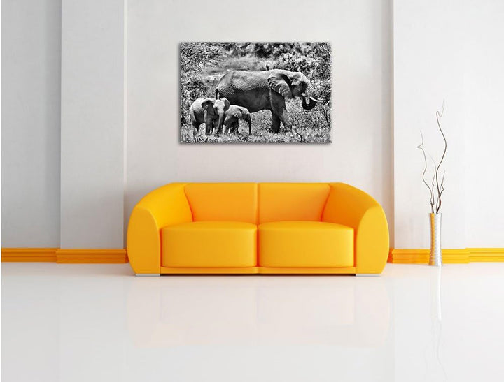 Pixxprint Monocrome, friedliche Elefantenfamilie, Format: 100x70 auf Leinwand, 100x70