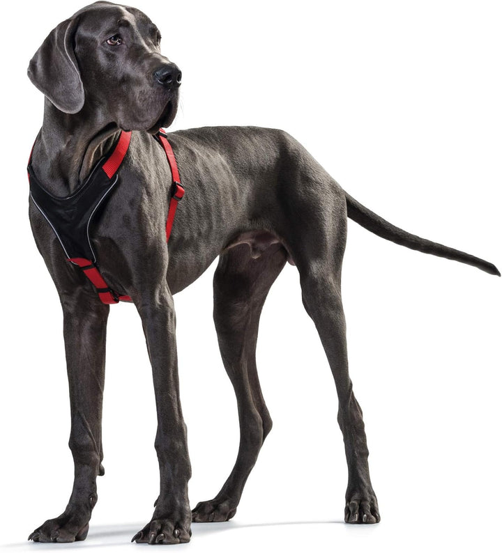 HUNTER NEOPREN Hundegeschirr, Nylon, gepolstert mit Neopren, M/1 53 - 65 cm, rot/schwarz rot/schwarz