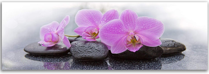 Feeby Bilder Orchidee 120x40 cm 1 Teilig Wohnzimmer Schlafzimmer Büro Küche Wandbilder Leinwandbilde