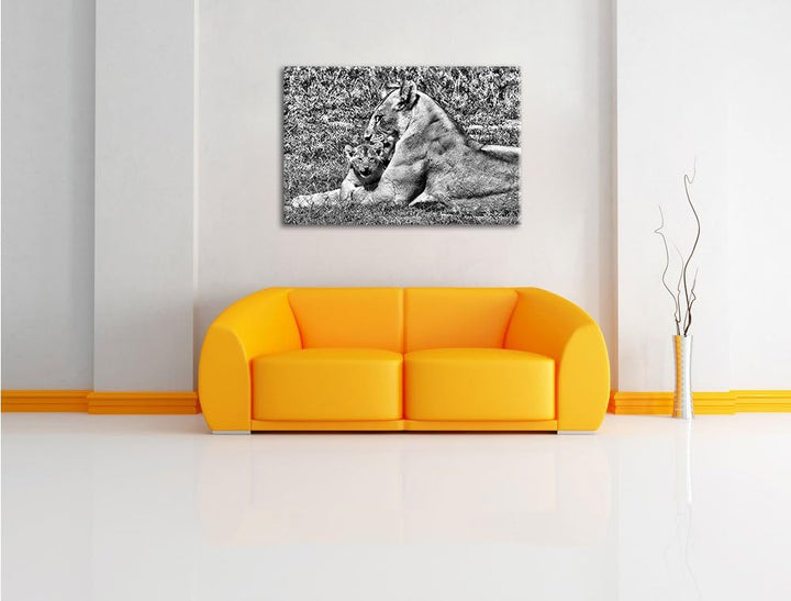 Pixxprint Monocrome, fürsorgliche Löwin putzt Ihr Junges, Format: 100x70 auf Leinwand, 100x70
