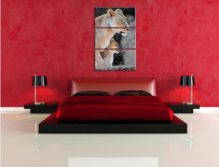 Pixxprint Löwenmutter mit Jungtier als Leinwandbild/Grösse: 3 Teilig (120x80) cm/Wandbild/Kunstdruck