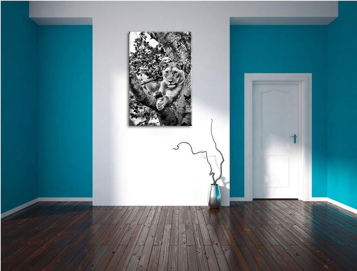 Pixxprint schöne Löwin auf Baum als Leinwandbild/Grösse: 100x70 / Wandbild/Kunstdruck/fertig bespann