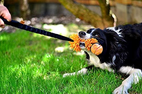 Dingo Mop Bungee Orange Mikrofaser mit Vanille Duft Ball Hundespielzeug Agility Apporte zum Spielen