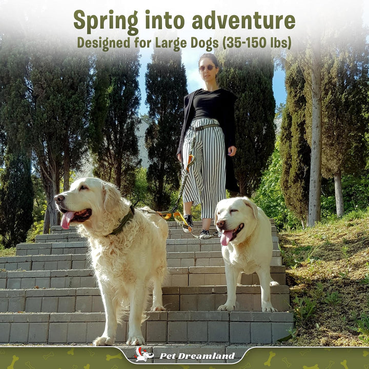 Pet Dreamland Double Leash Hands Free - Two Dogs Coupler Complete Set - No Tangle, No Pull Tandem Du