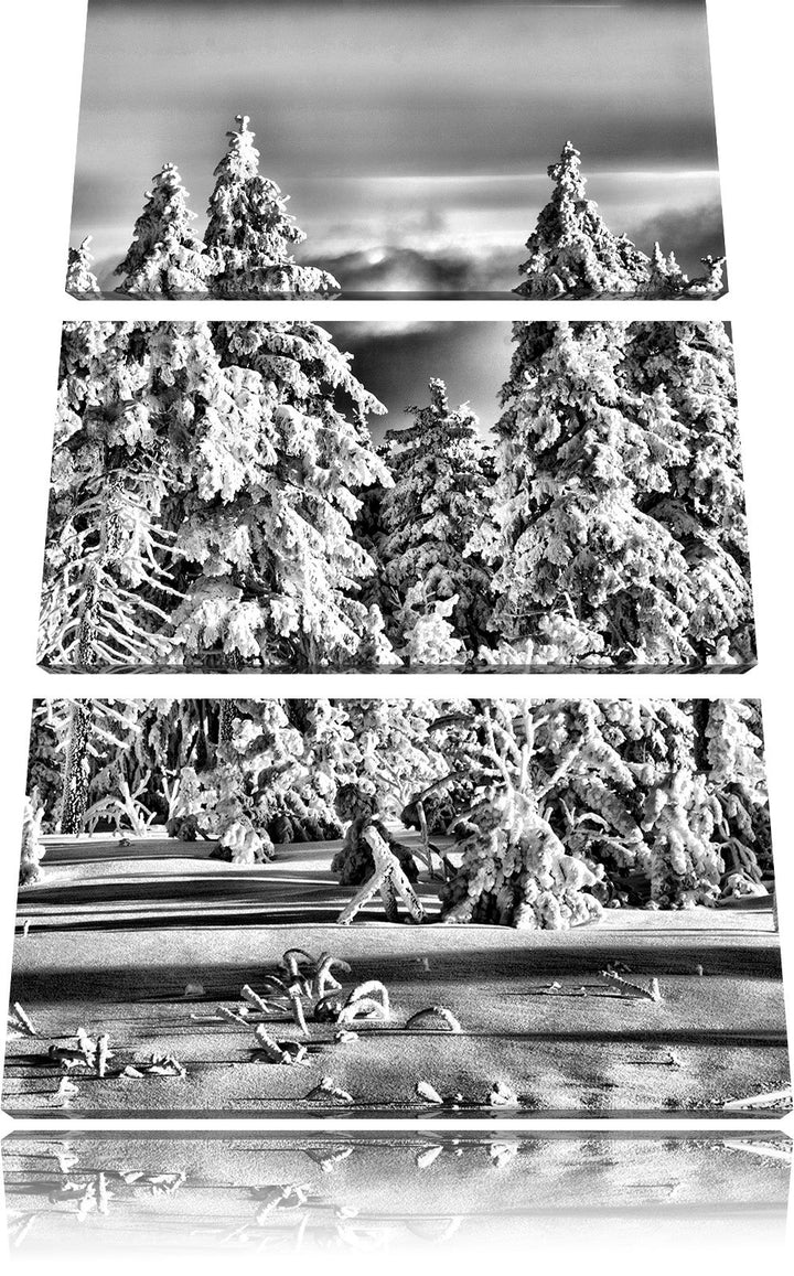 Pixxprint Winterwald als Leinwandbild/Grösse: 3 Teilig (120x80) cm/Wandbild/Kunstdruck/fertig bespan
