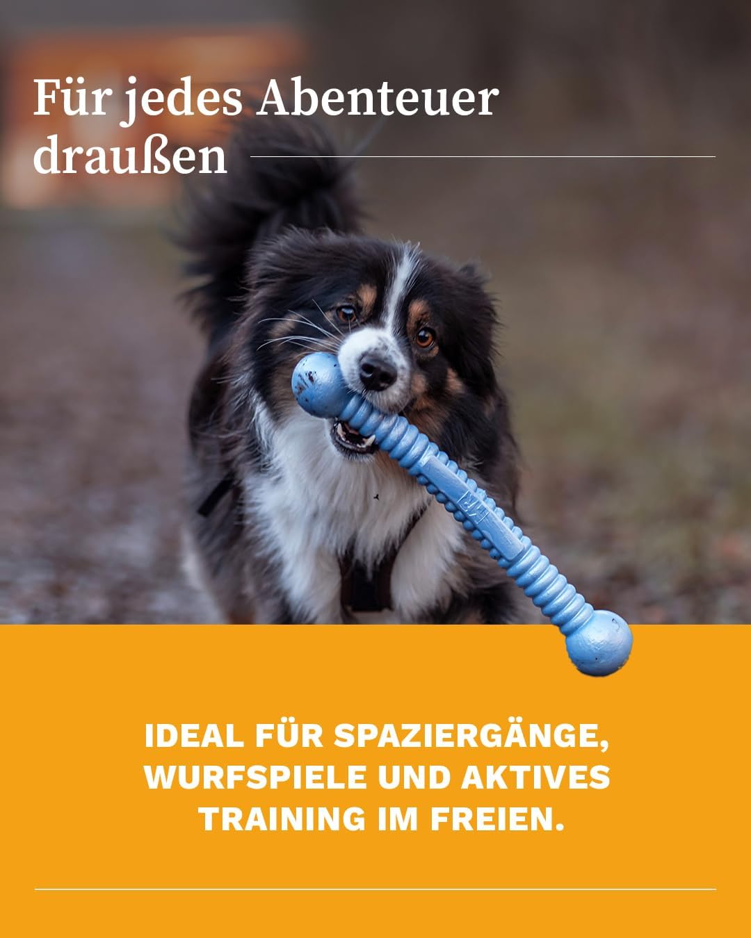 Martin Rütter FUNSTIX Stöckchenersatz für Hunde Grösse: M, Farbe: Metallic-Blau – Flexibler & sicher