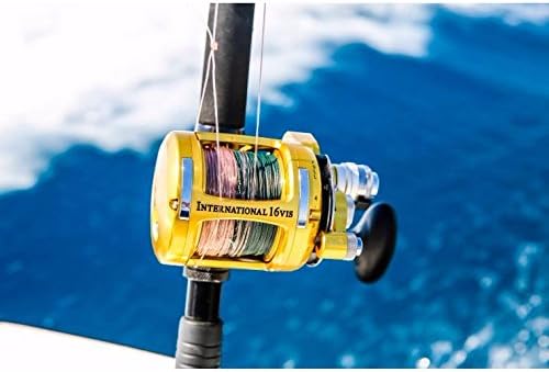 Penn Reels Salzwasserhebel Drag INT80VISWS International Leverdrag Conventional 2-Gang-Rolle 80