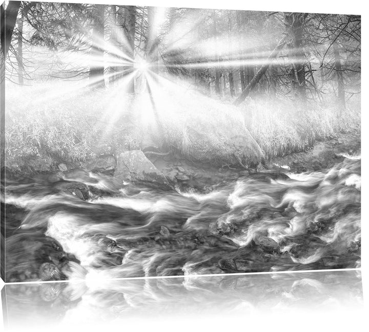 Pixxprint Nebeldickicht im Wald Kunst B&amp;W, Format: 100x70 auf Leinwand, 100x70
