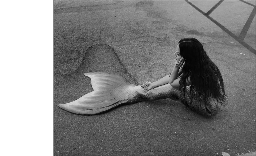 Fairy Tales: Petra Collins and Alexa Demie, Gebundenes Buch