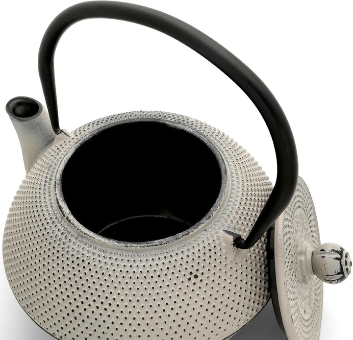 Bredemeijer Asia Teekanne Gusseisen Set 1.1 Liter - grauer Teekessel &amp; Edelstahl-Filter-Einsatz für