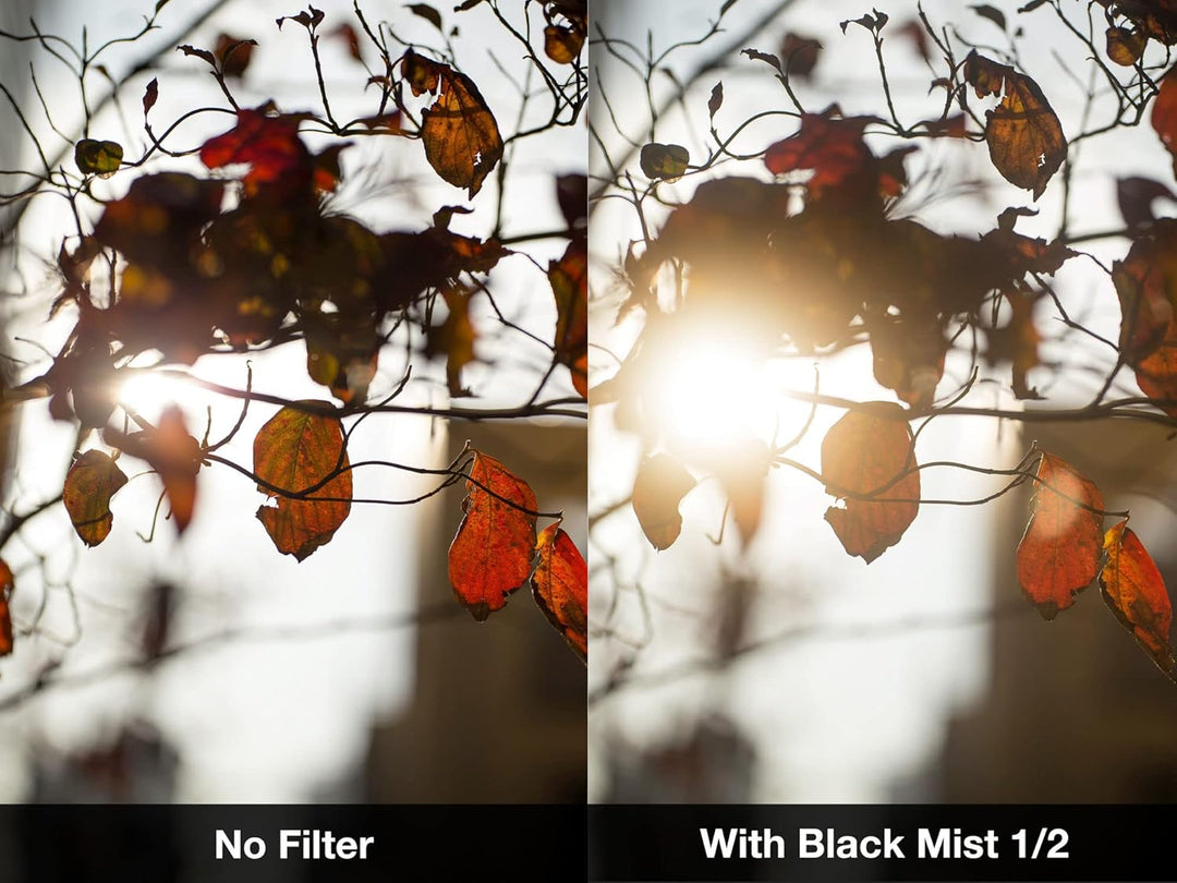 NiSi 95mm Black Mist 1/2 Diffusion Filter - Promist Effektfilter (1/2 Blende), 95mm Black Mist 1/2