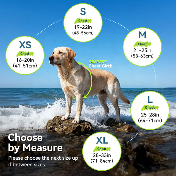 VIVAGLORY Leichte Rettungsweste für Hunde, Haustiere Lebensretter Hautfreundliche Neopren für Grosse