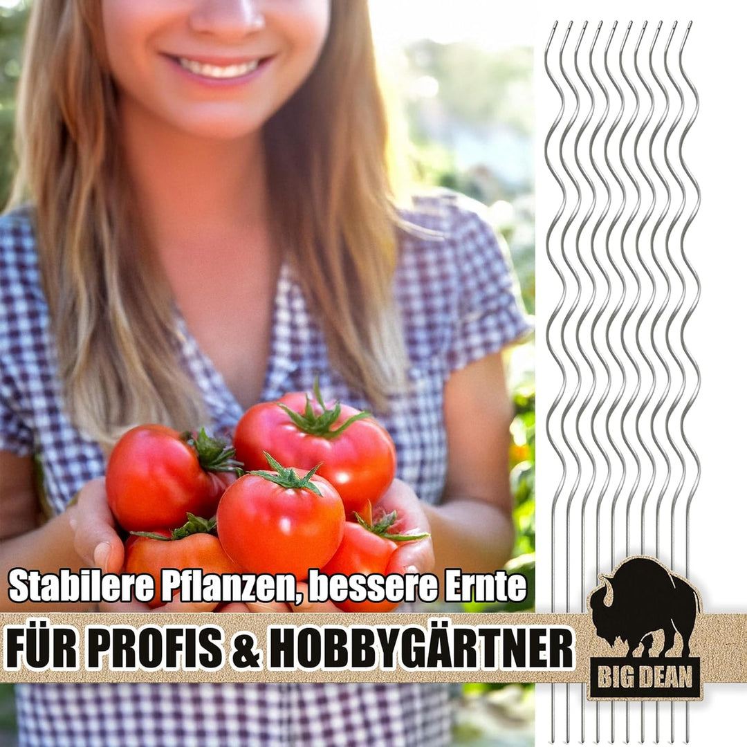 BigDean 10 Tomatenspiralstäbe 110cm voll verzinkt Tomatenstab Tomaten Ranke Pflanzstab Stahl Profi Q