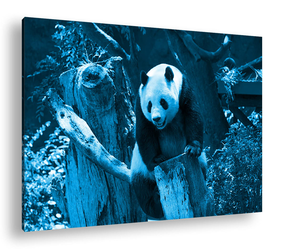 deyoli knuffiger Panda Format 120x80 Effekt: Monocrome Blau als Leinwandbild, Motiv fertig gerahmt a