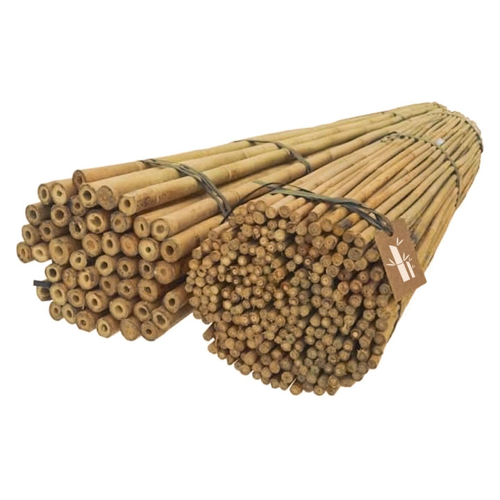 Dixiestore Bambusstäbe - Bambusstangen Set Blumenstützen - Robuste Pflanzenstäben aus Bambus 180 cm