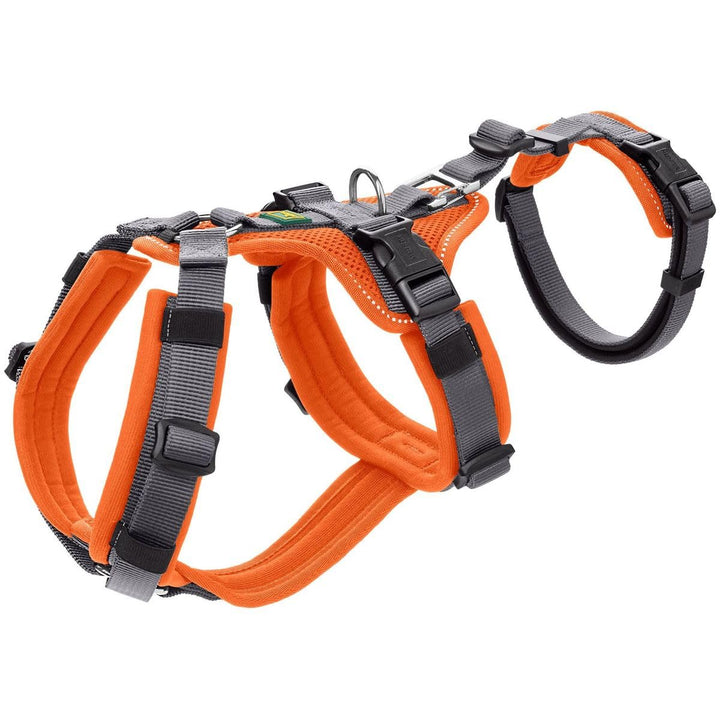 Sicherheitsgeschirr Maldon Farbe orange/grau, Grösse S-M S-M orange/grau, S-M orange/grau