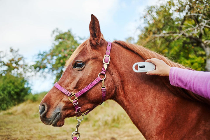LBH Tierchip Lesegerät Chipleser für Tiere RFID Chip Microchip Tiere ISO Transponder zur, Chipleser
