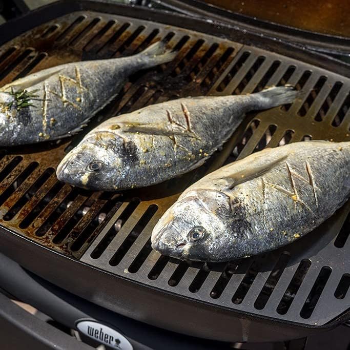 Edelstahl INOX Grillrost für die Weber Q100/1000 Baureihe | spülmaschinenfest - EINTEILIG - Grillros
