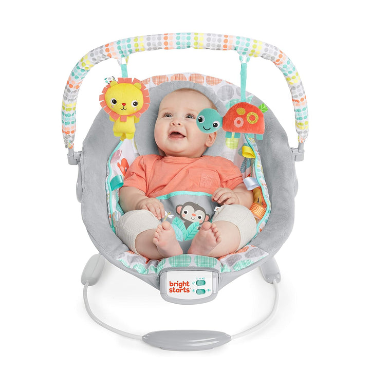 Bright Starts, vibrierende Wippe, Whimsical