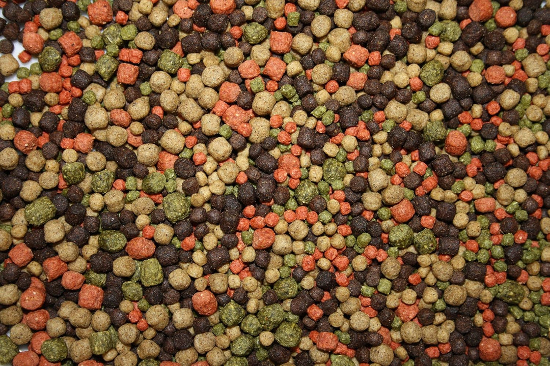 Koifuttermischung, Koifutter, Premium Koimix, Schwimmfutter, Teichfuttermix mit Spirulina, Astax, Pa