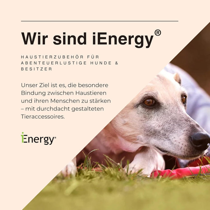 iEnergy™ MAL Hunderucksack - Wetterfester Rucksack für Hunde – Gut gepolsterter Wanderrucksack (Klei