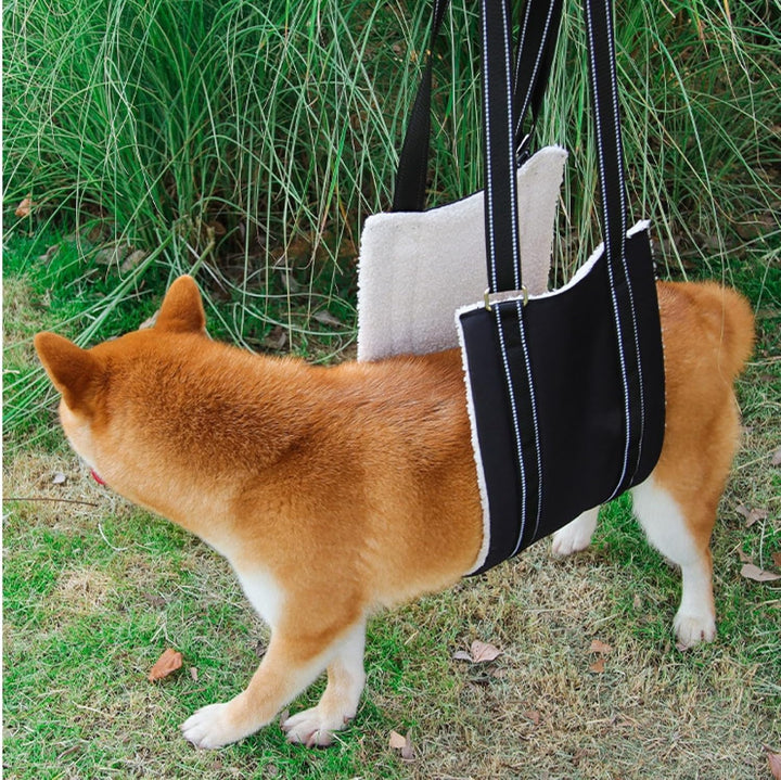 Ganzkörper Tragehilfe, Treppenhilfe, Dog Carrier Hundetrage, Tragegurt, Verstellbarer Hunde Tragehil