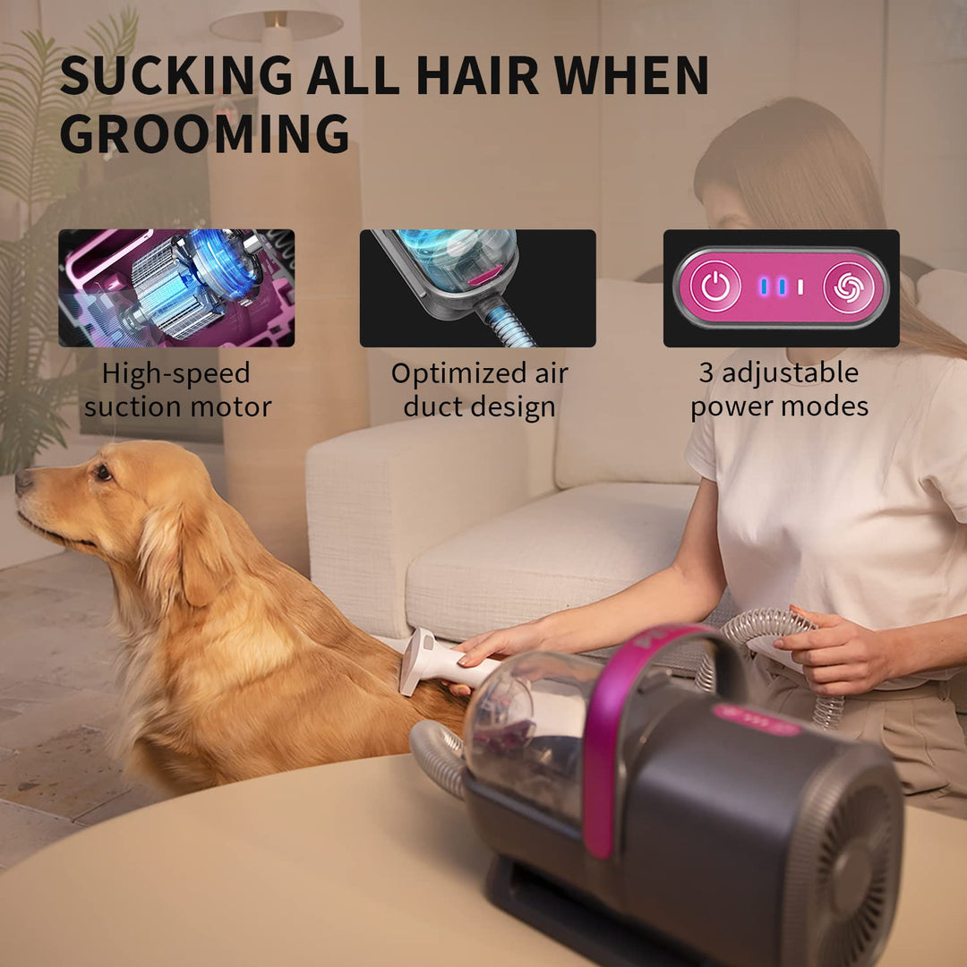 PETKIT Pet Grooming Vacuum Kit (LM4) Grau, Grau