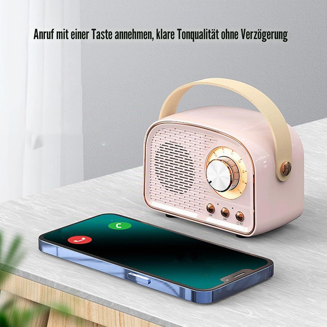 Garsent Retro BT -Lautsprecher, Kleiner Handheld Tragbares Vintage -Dekor für Home Outdoor DW21, 500