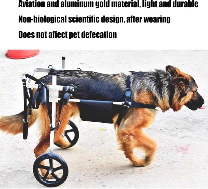 Rmeet Mittlerer und grosser Hunderollstuhl, Rehabilitationshilfe, Hinterbeinstütze, Hundewagen mit R