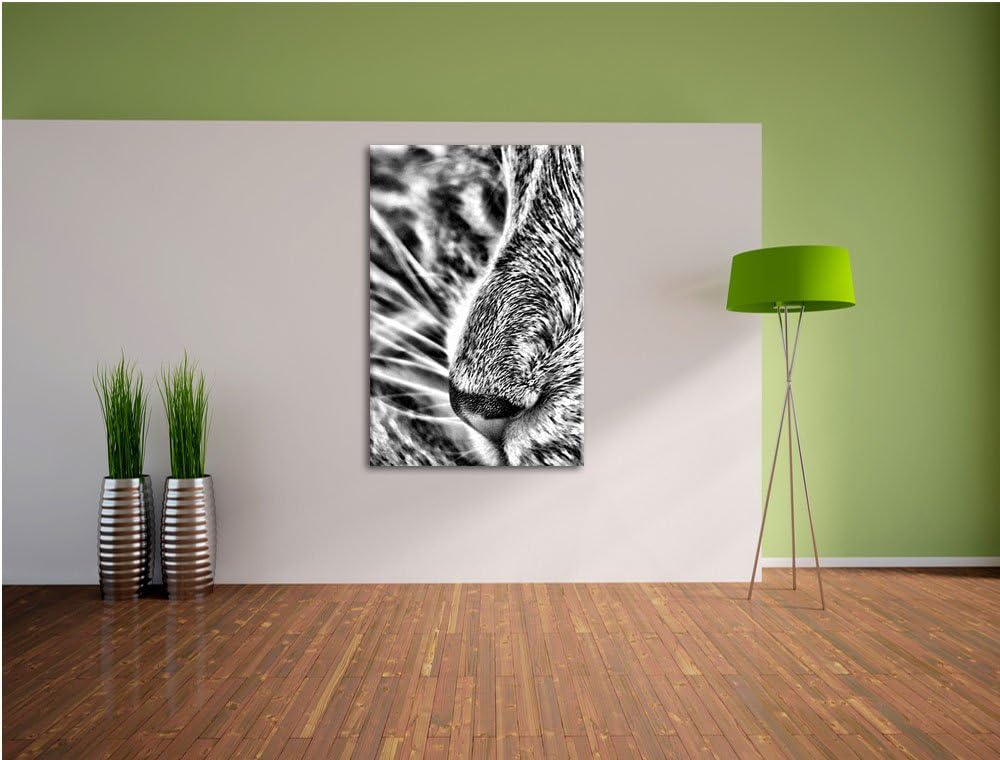 Pixxprint Katze mit blauen Augen als Leinwandbild/Grösse: 100x70 / Wandbild/Kunstdruck/fertig bespan