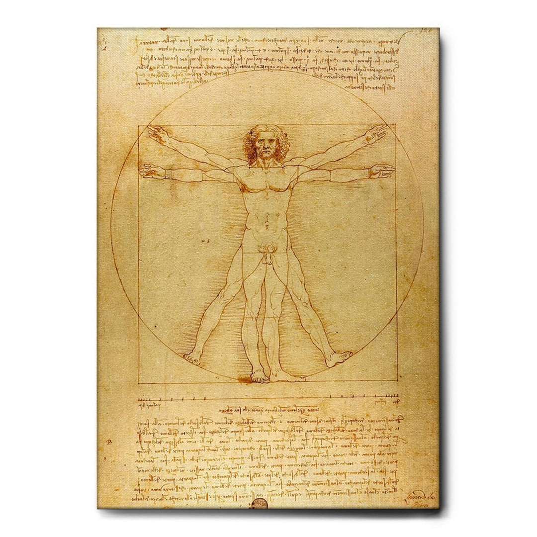 Giallobus - Gemälde - Leonardo Da Vinci - Vitruvian Man - Leinwand - 50x70 - Bereit zum Aufhängen -