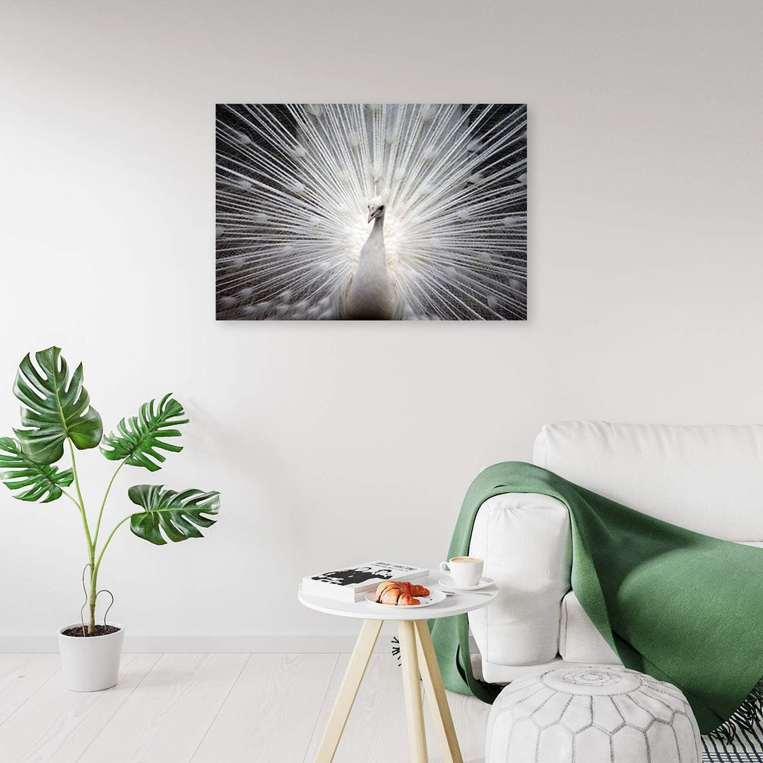 Feeby Wandbild Tier Druckbild Leinwandbild Vogel Weiss 70x50 cm M14235 70x50 cm, M14235 70x50 cm