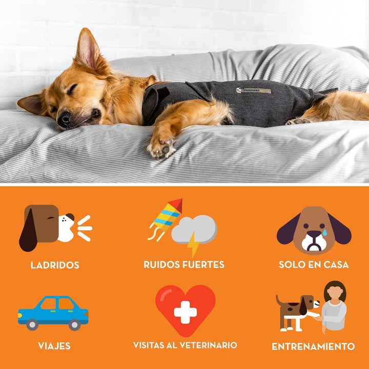 Thundershirt Beruhigungsweste, Hundemantel für ängstliche Hunde, Grösse XS, grau, 99001