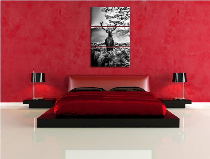 Pixxprint Monocrome, Hirsch Rivalen kämpfen 3-Teiler Leinwandbild 120x80 Bild auf Leinwand