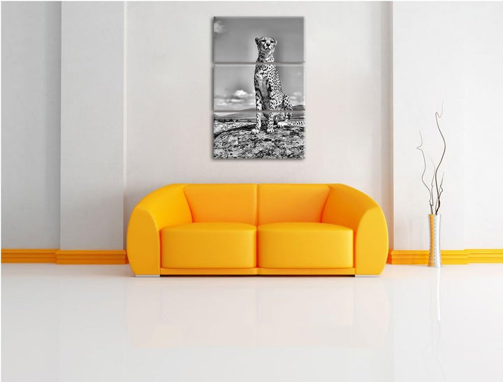 Pixxprint Monocrome, Wachsamer Gepard 3-Teiler Leinwandbild 120x80 Bild auf Leinwand