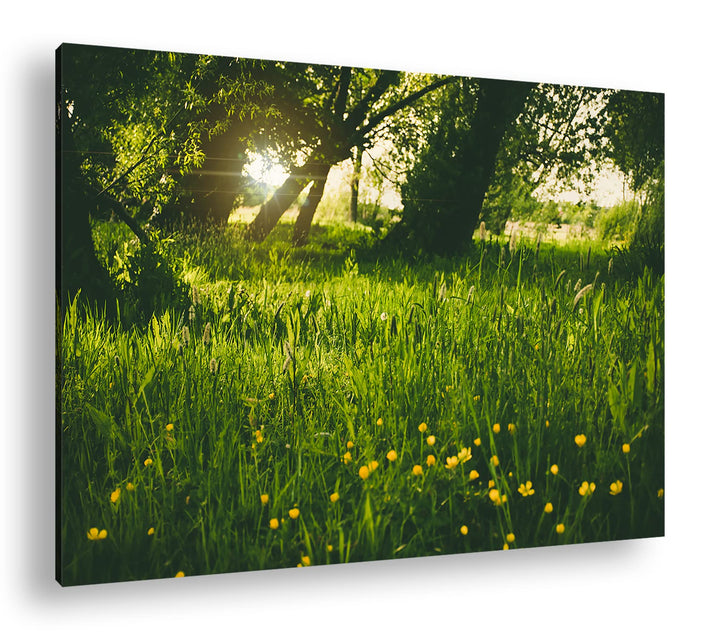 deyoli zauberhafte Butterblumen auf einer Wiese Format: 80x60 als Leinwand, Motiv fertig gerahmt auf