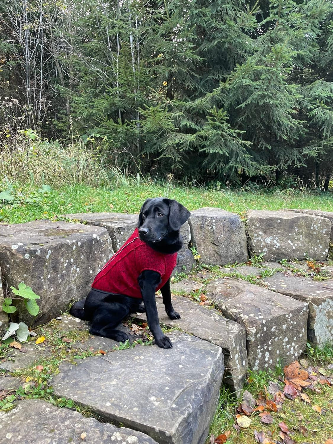 iEnergy™ OSC isolierende und warme Outdoor-Hundejacke mit Fleece-Innenfutter, windabweisender, ultra