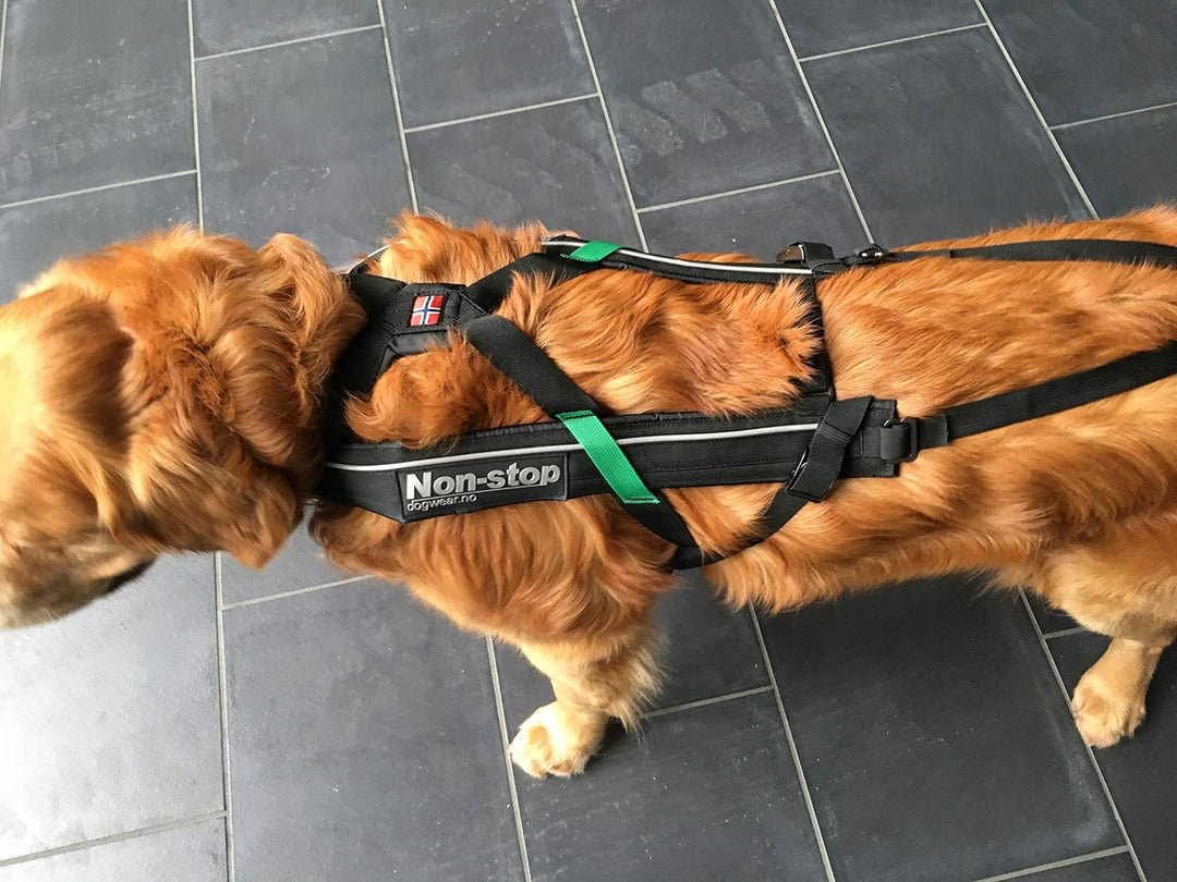 DOG Copenhagen Non-Stop Geschirr für Canicross Free Motion, Grösse T9 Schwarz 8, Schwarz 8