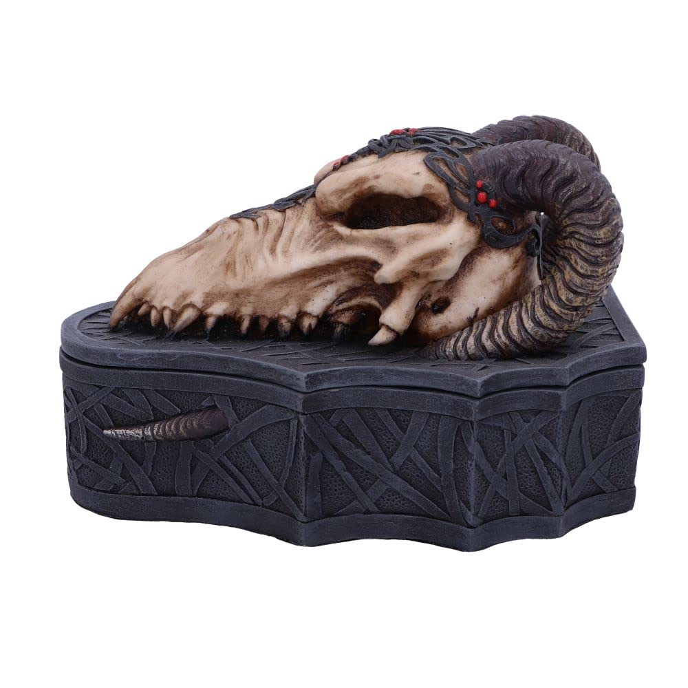 Nemesis Now Drachenschädel-Box (Monte Moore), Schwarz, 17,7 cm, 17.7cm
