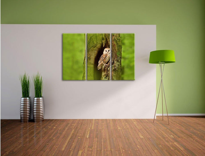 Pixxprint Schleiereule in der Baumhöhle 3-Teiler Leinwandbild 120x80 Bild auf Leinwand