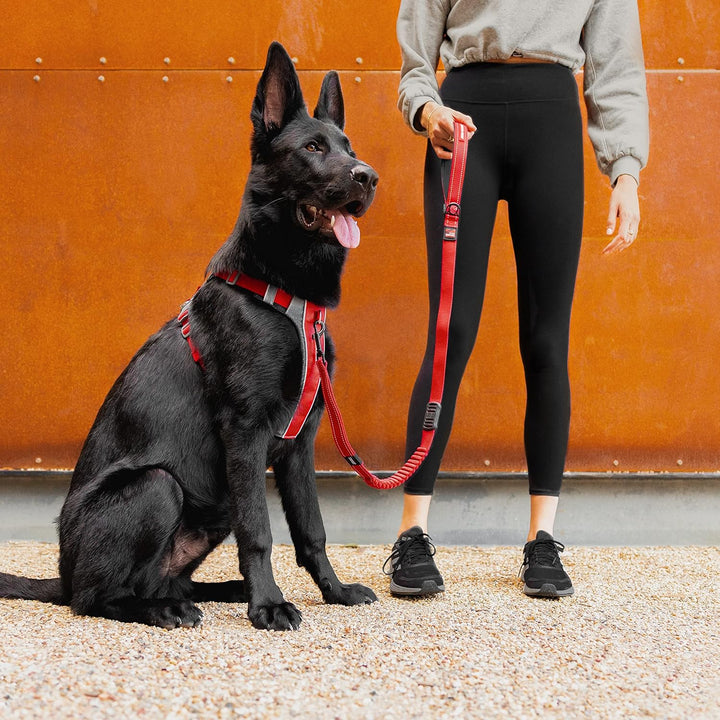 EzyDog No-Pull Hundegeschirr für Mittelgrosse und Grosse Hunde, X- Link Anti Zug Geschirr Hund Verst