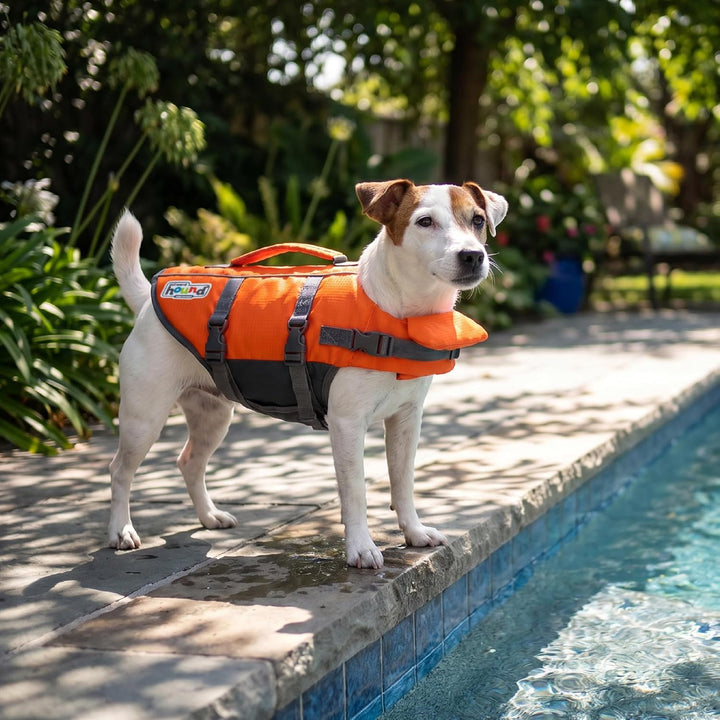 Kyjen 22019 Outward Hound Ripstop Quick Release Easy Fit Rettungsweste für Hunde, verstellbar, Gröss