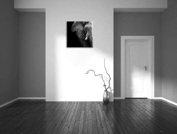 Pixxprint Elefant Porträt, Format: 70x70 auf Leinwand, XXL riesige Bilder fertig gerahmt mit Keilrah